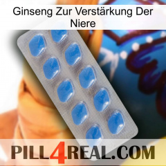 Ginseng Zur Verstärkung Der Niere 22